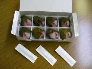 IMG_1868 IMG_1868